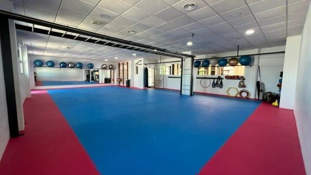 Tatami area